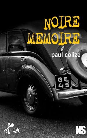 Book cover of Noire mémoire