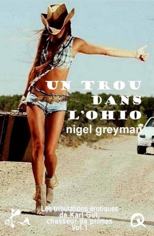 Cover of the book Un trou dans l'Ohio by Alphonse Momas