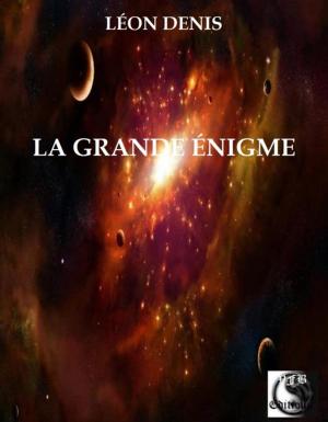 bigCover of the book La Grande Énigme by 