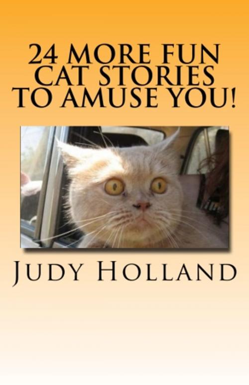 Cover of the book 24 More Fun Cat Stories To Amuse You! by Judy Holland, Vince Stead