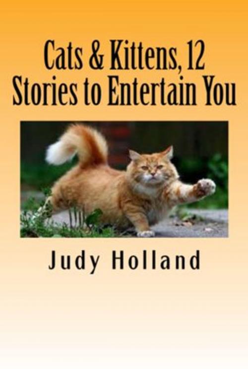 Cover of the book 12 More Cat Stories to make you Smile and Laugh! by Judy Holland, Vince Stead
