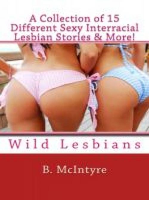 Cover of the book A Collection of 15 Different Sexy Interracial Lesbian Stories & More! by B. McIntyre, Vince Stead