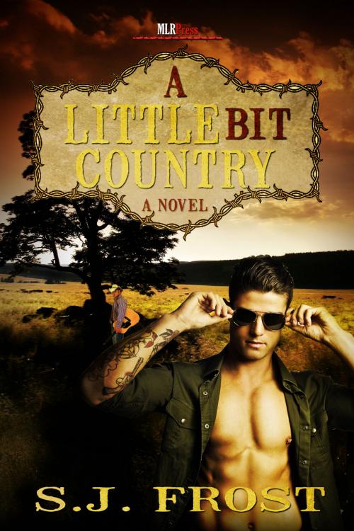 Cover of the book A Little Bit Country by S.J. Frost, MLR Press