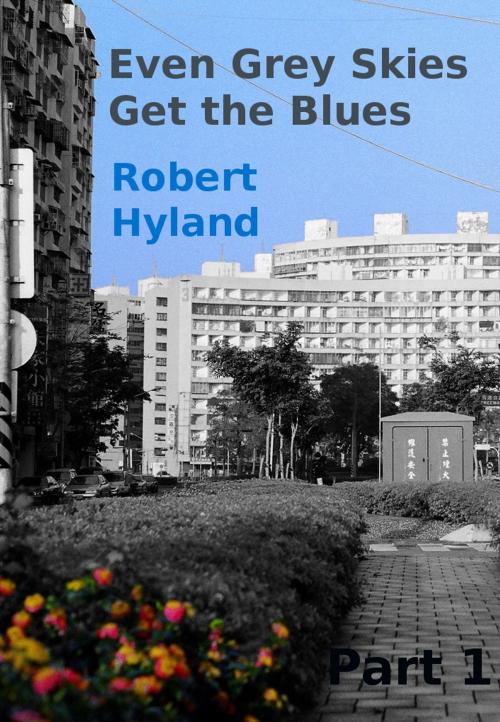 Cover of the book Even Grey Skies Get The Blues by Robert Hyland, Arlo Publishing