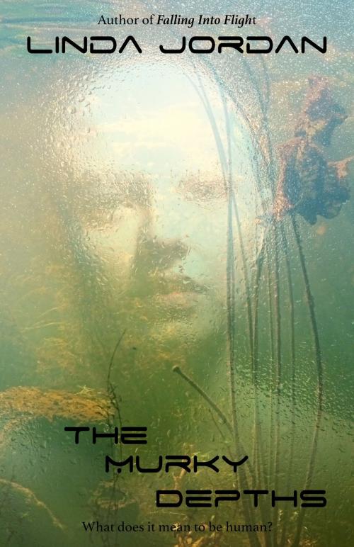 Cover of the book The Murky Depths by Linda Jordan, Metamorphosis Press
