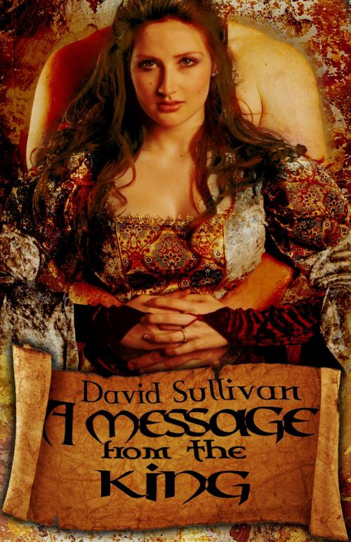 Cover of the book A Message from the King by David O. Sullivan, Stormy Night Publications