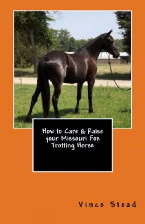 Cover of the book How to Care & Raise your Missouri Fox Trotting Horse by Vince Stead, Vince Stead