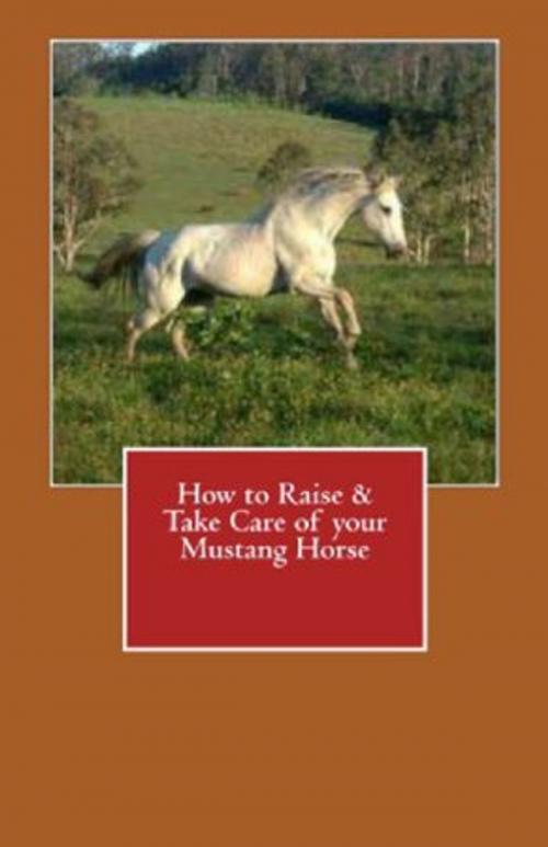 Cover of the book How to Raise & Take Care of your Mustang Horse by Vince Stead, Vince Stead
