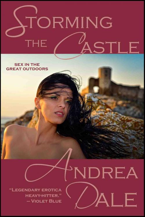 Cover of the book Storming the Castle by Andrea Dale, Soul's Road Press