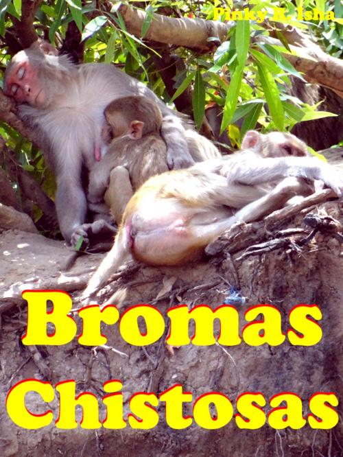 Cover of the book Bromas chistosas by Pinky R. Isha, mahesh dutt sharma