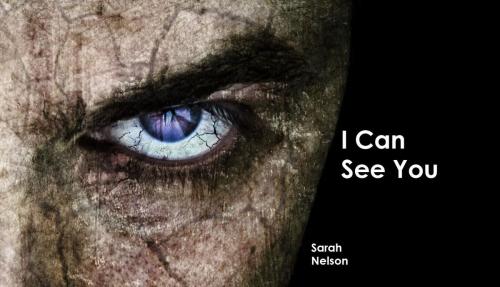 Cover of the book I Can See You by Sarah Nelson, Ghost Town
