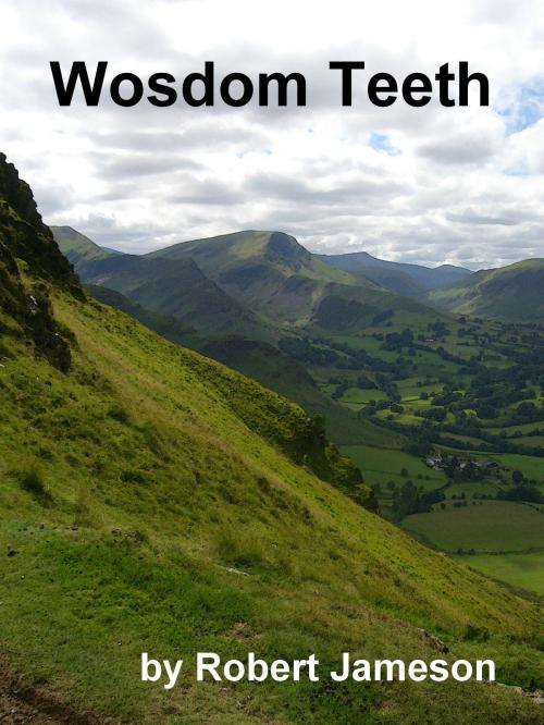 Cover of the book Wosdom Teeth by Robert Jameson, IMOS.org.uk