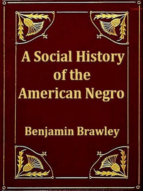 Cover of the book A Social History of the American Negro by Benjamin Brawley, VolumesOfValue
