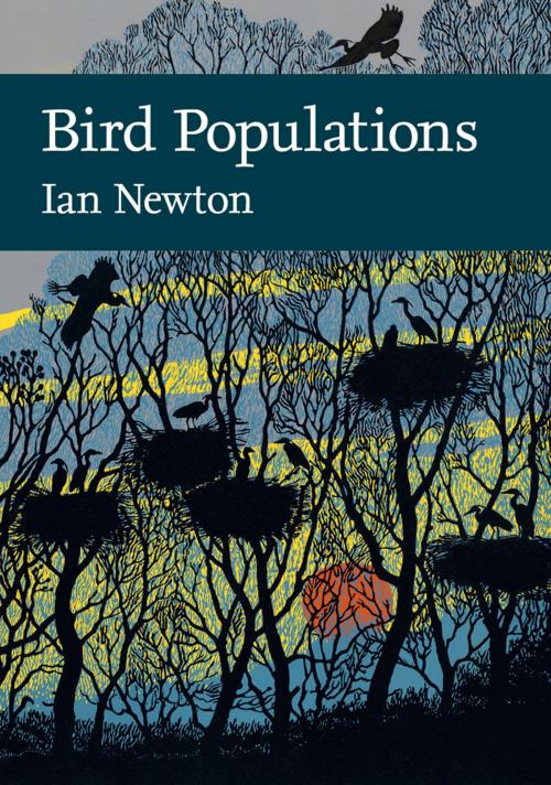 Cover of the book Bird Populations (Collins New Naturalist Library, Book 124) by Ian Newton, HarperCollins Publishers
