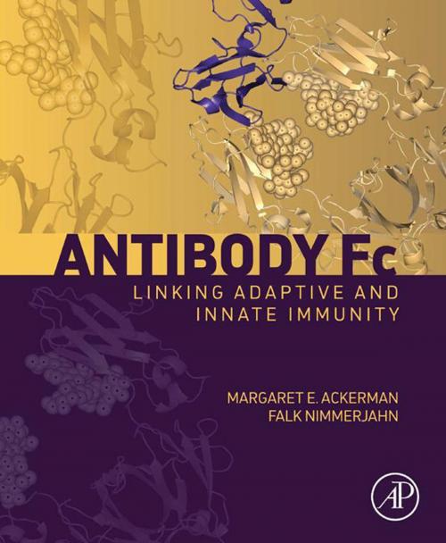 Cover of the book Antibody Fc by , Elsevier Science