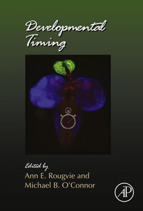 Cover of the book Developmental Timing by Ann E Rougvie, Michael B. O'Connor, Elsevier Science