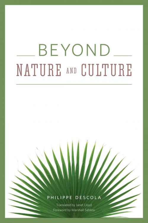 Cover of the book Beyond Nature and Culture by Philippe Descola, University of Chicago Press
