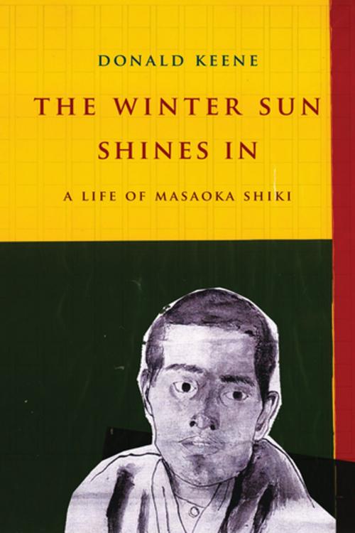 Cover of the book The Winter Sun Shines In by Donald Keene, Columbia University Press