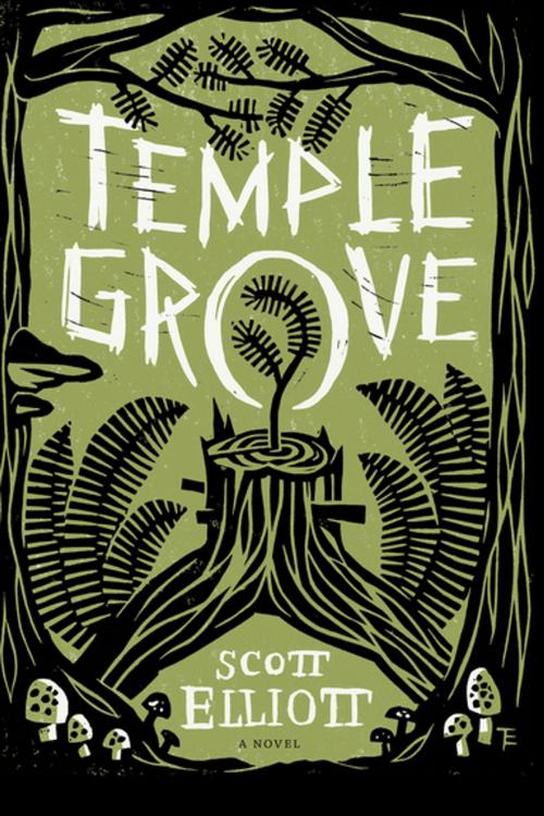 Cover of the book Temple Grove by Scott Elliott, University of Washington Press