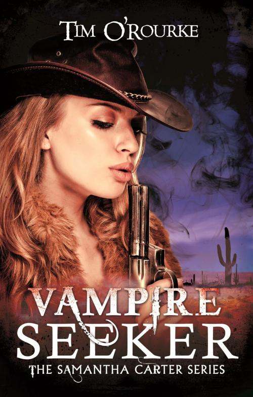 Cover of the book Vampire Seeker by Tim O'Rourke, Little, Brown Book Group