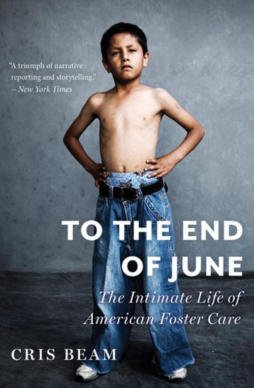 Cover of the book To the End of June by Cris Beam, Houghton Mifflin Harcourt