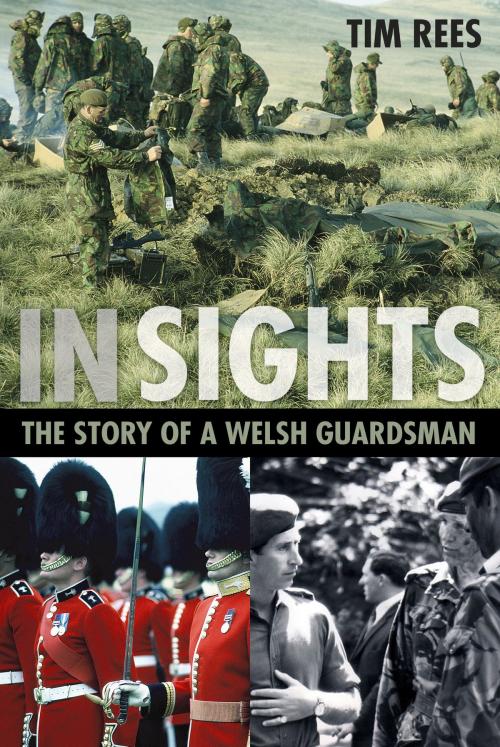 Cover of the book In Sights by Tim Rees, The History Press