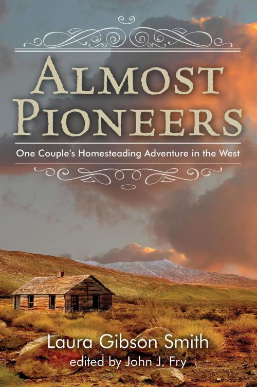 Cover of the book Almost Pioneers by John Fry, TwoDot