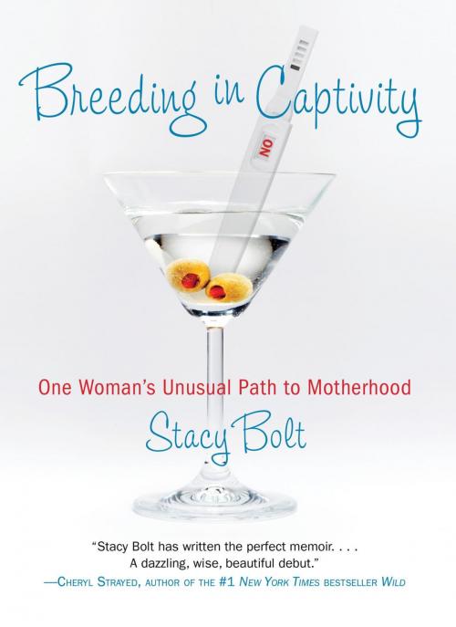 Cover of the book Breeding in Captivity by Stacy Bolt, Skirt!