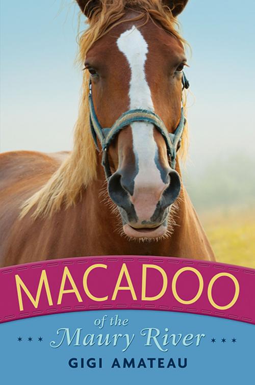 Cover of the book Macadoo: Horses of the Maury River Stables by Gigi Amateau, Candlewick Press