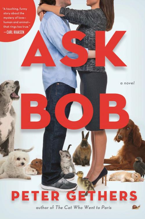 Cover of the book Ask Bob by Peter Gethers, Henry Holt and Co.