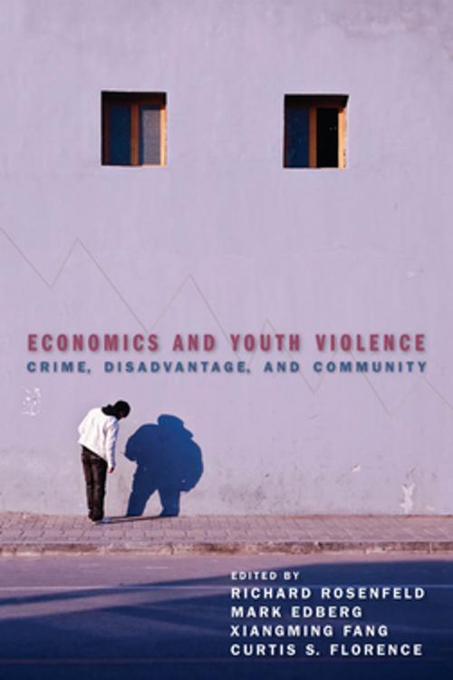 Cover of the book Economics and Youth Violence by , NYU Press