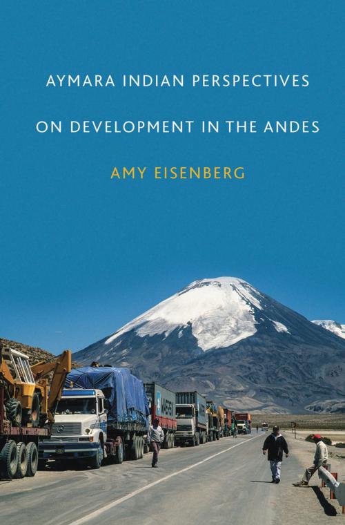Cover of the book Aymara Indian Perspectives on Development in the Andes by Amy Eisenberg, Amy Eisenberg, University of Alabama Press