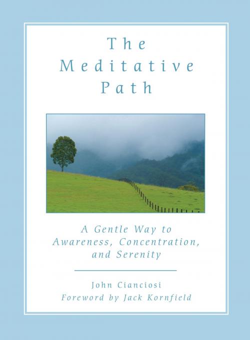 Cover of the book The Meditative Path by John Cianciosi, Quest Books
