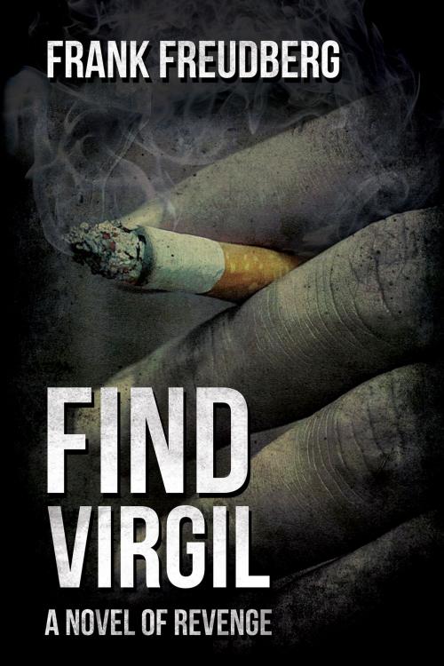 Cover of the book Find Virgil by Frank Freudberg, Inside Job Media