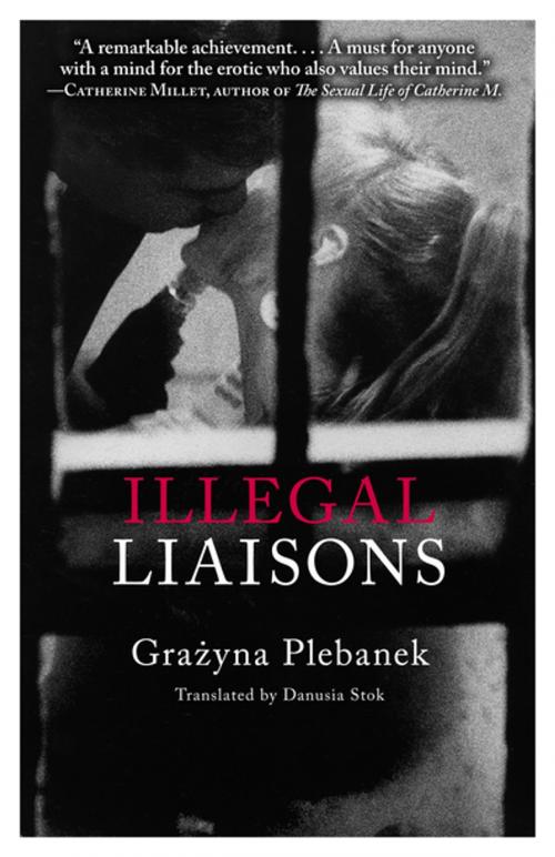 Cover of the book Illegal Liaisons by Graznya Plebanek, New Europe Books