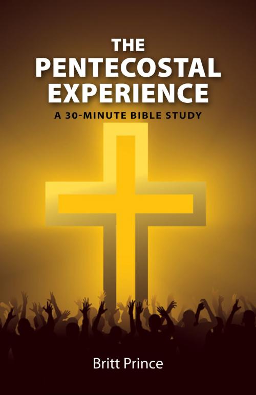 Cover of the book The Pentecostal Experience by Britt Prince, Britt Prince