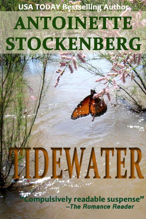 Cover of the book Tidewater by Antoinette Stockenberg, Antoinette Stockenberg