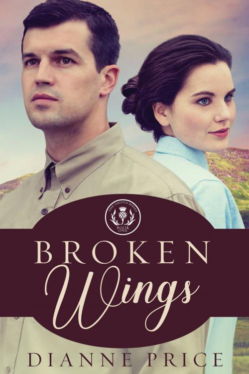 Cover of the book Broken Wings by Dianne Price, Ashberry Lane Publishing