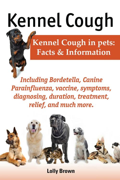 Cover of the book Kennel Cough by Lolly Brown, NRB Publishing