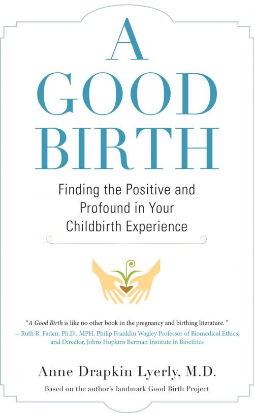 Cover of the book A Good Birth by Anne Lyerly, Penguin Publishing Group