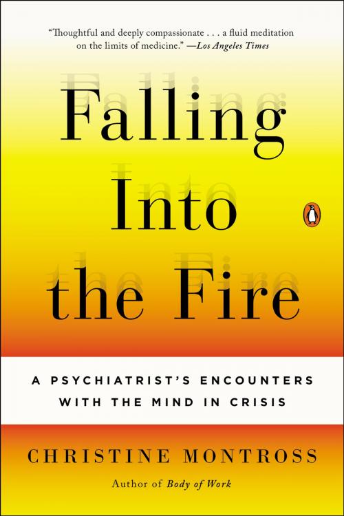 Cover of the book Falling Into the Fire by Christine Montross, Penguin Publishing Group