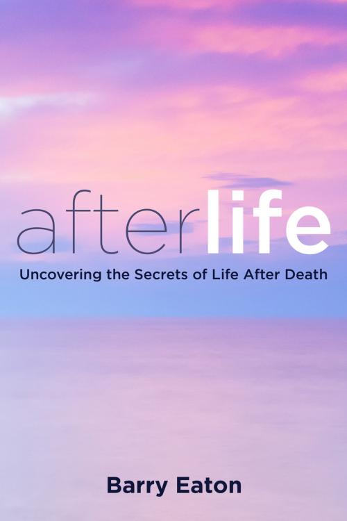Cover of the book Afterlife by Barry Eaton, Penguin Publishing Group