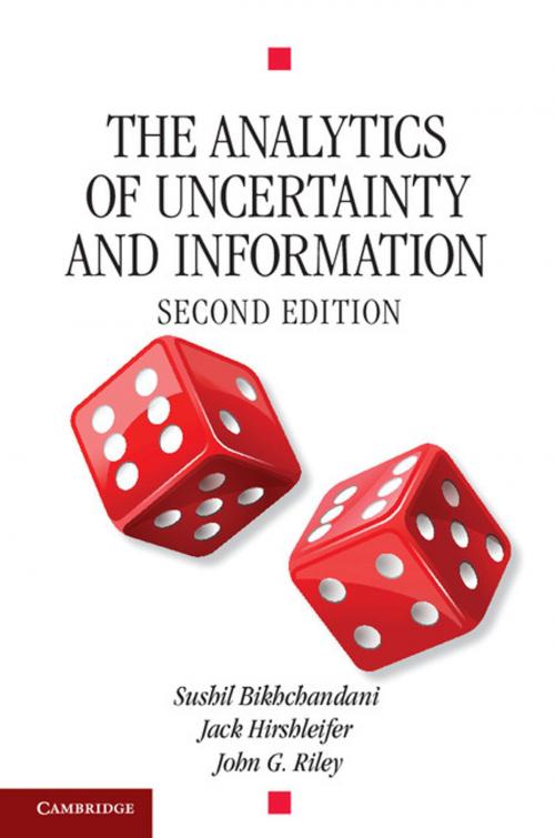 Cover of the book The Analytics of Uncertainty and Information by Jack Hirshleifer, John G. Riley, Sushil Bikhchandani, Cambridge University Press