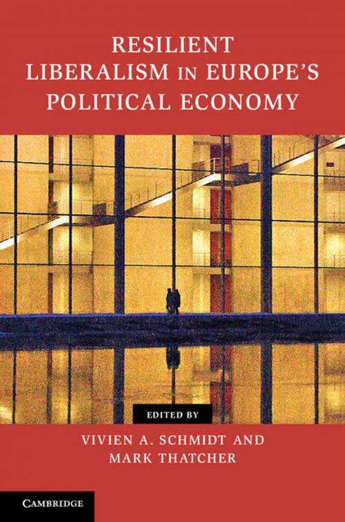 Cover of the book Resilient Liberalism in Europe's Political Economy by , Cambridge University Press