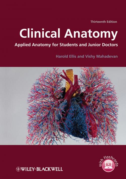 Cover of the book Clinical Anatomy by Harold Ellis, Vishy Mahadevan, Wiley