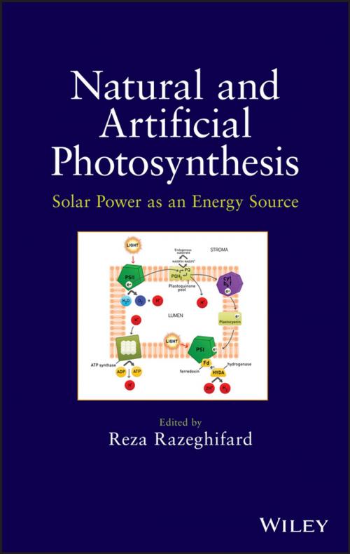 Cover of the book Natural and Artificial Photosynthesis by Reza Razeghifard, Wiley