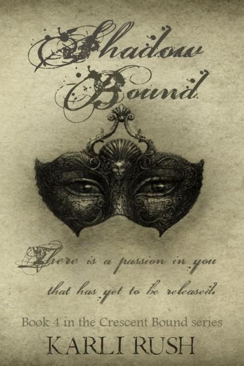 Cover of the book Shadow Bound by Karli Rush, Karli Rush