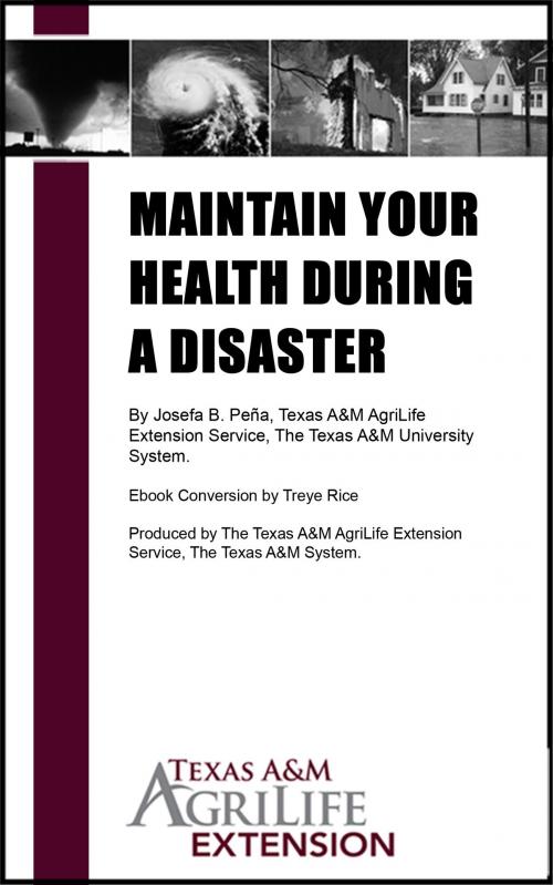 Cover of the book Maintain Your Health During a Disaster by Texas A&M AgriLife Extension Service, Texas A&M AgriLife Extension Service