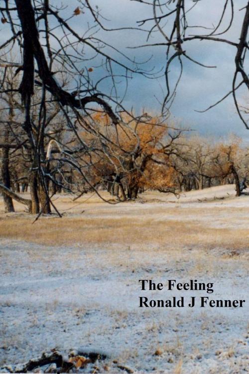 Cover of the book The Feeling by Ronald Fenner, Ronald Fenner