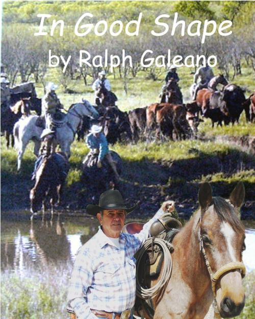 Cover of the book In Good Shape by Ralph Galeano, Ralph Galeano